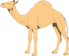 Camel With Closed Eyes Clip Art
